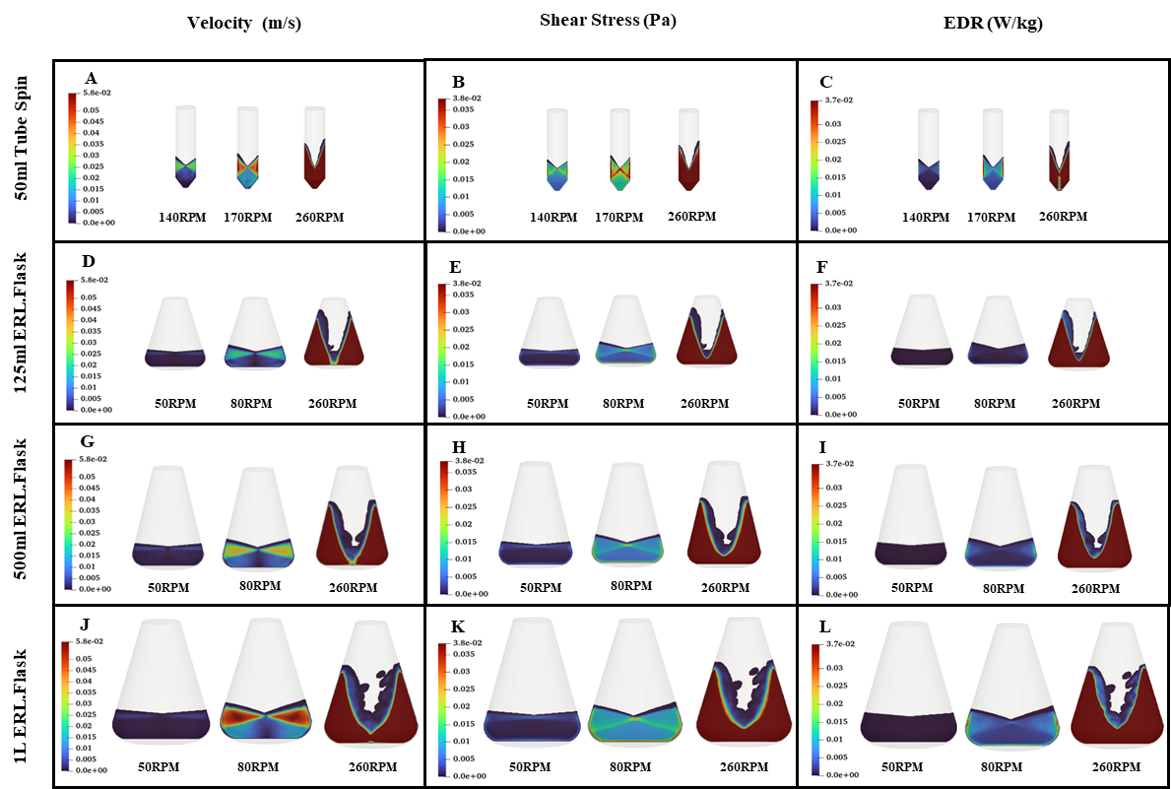 Comparison of velocity, shear stress and energy dissipation across culture vessels and agitation conditions