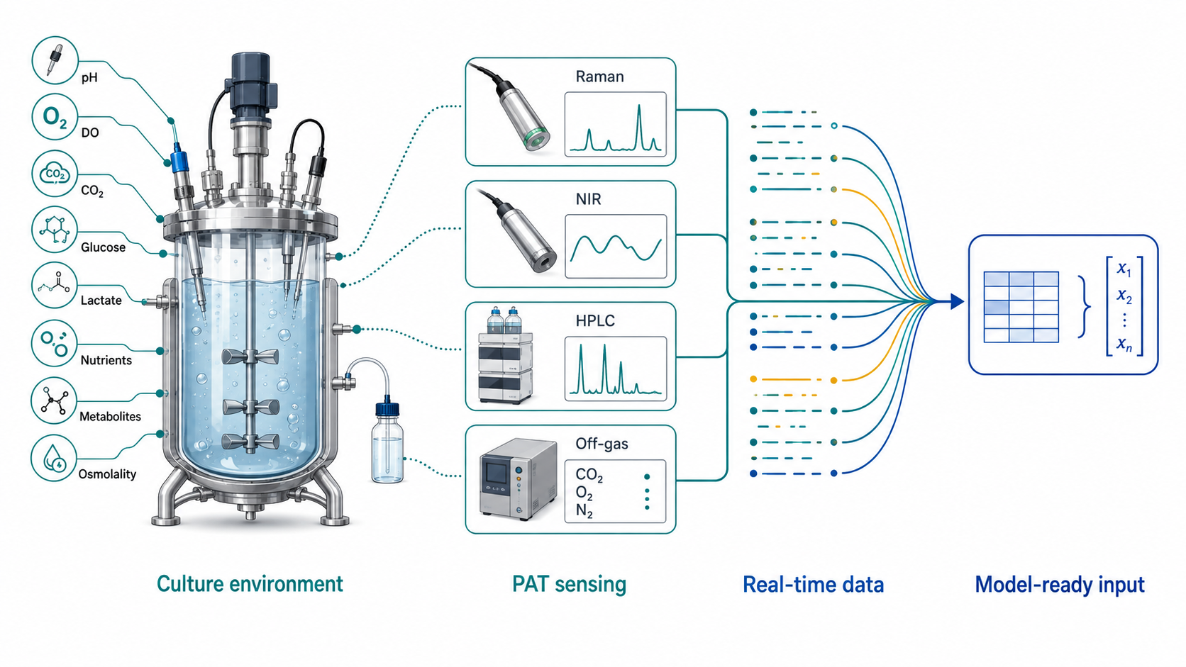 Process analytics concept connecting culture measurements to model inputs