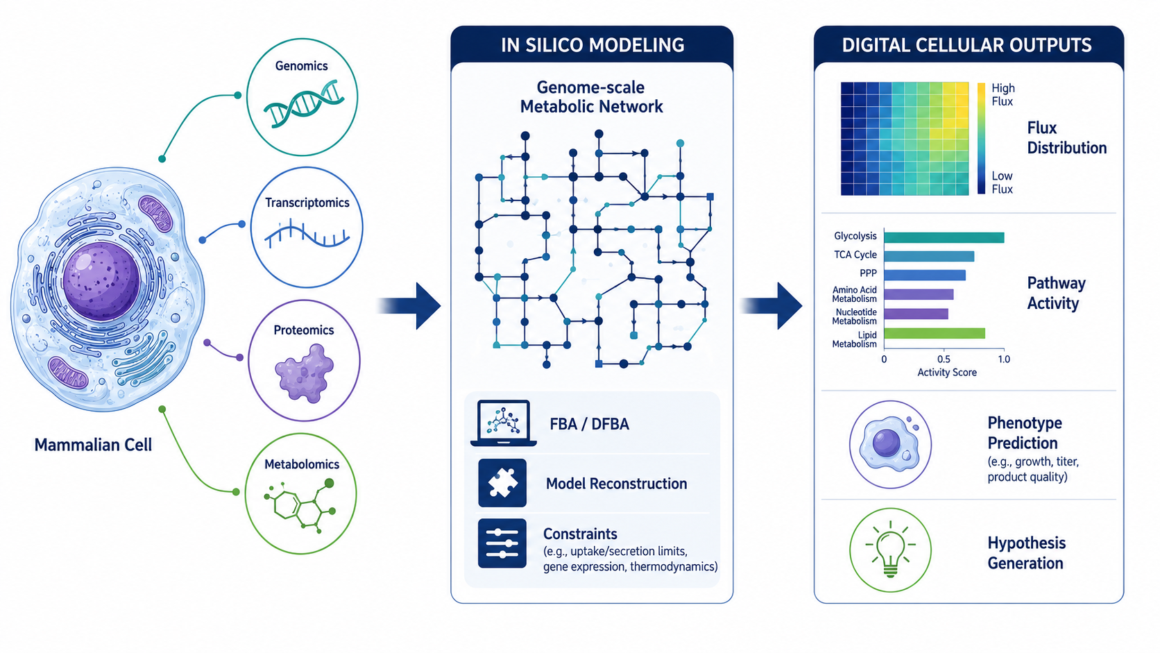 Systems biotechnology concept linking multi-omics and genome-scale metabolic modeling